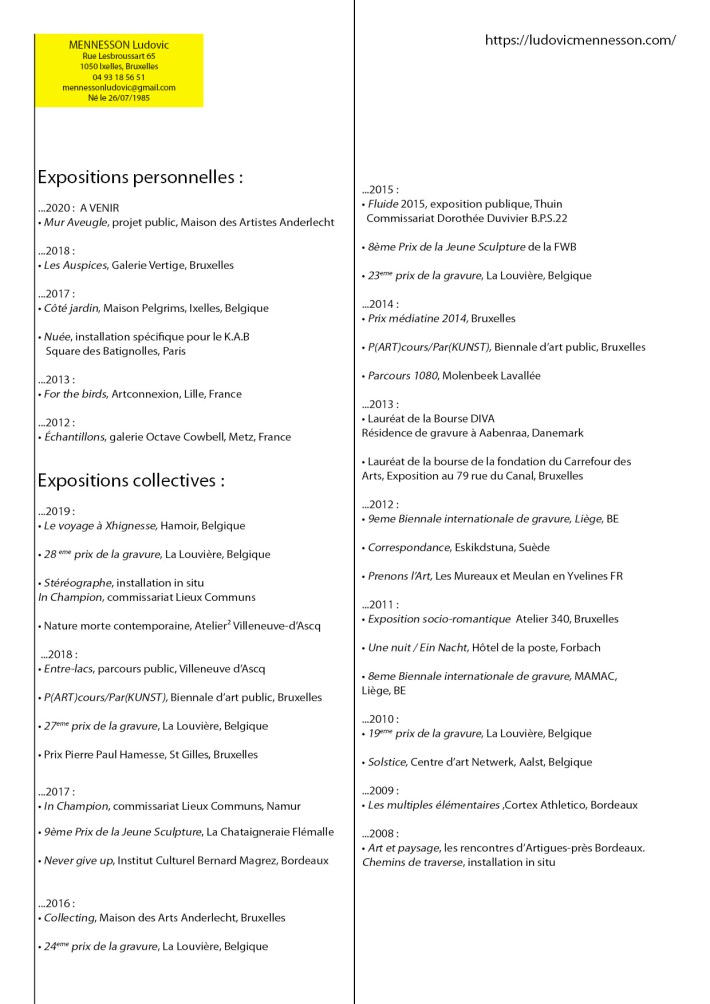 CV Ludovic Mennesson 2020